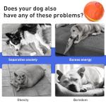 2026 T01 Interactive Dog Toys Dog Ball, Automatic Rolling and Bouncing Moving Dog Toy, Durable and USB Rechargeable, Fun Smart Toy for Puppy, Small, Medium and Large Dogs, Dog Toys to Keep Them Busy