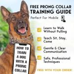 PetJett Prong Collar for Dogs - Adjustable Dog Training Collar No Pull Choke Collar for Dogs Pinch Collar for Dog Walking Tool for Small Medium, or Large Breed - Stainless Steel Metal Choker Chain