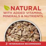 Purina ONE Tender Cuts Chicken & Rice Dog Food