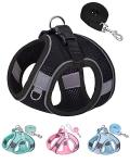 No-Pull Dog Harness and Leash Set for Small Dogs