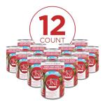 Purina ONE Tender Cuts Chicken & Rice Dog Food