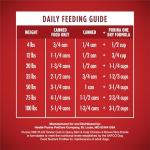 Purina ONE Tender Cuts Chicken & Rice Dog Food