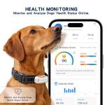 GPS Dog Tracker with Health Management and Fence