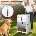 GADFISH Large Automatic Dog Feeder with Lockable Door