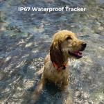 GPS Dog Tracker for Medium & Large Dogs