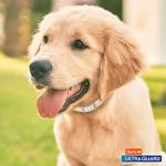 Hartz UltraGuard Flea and Tick Collar for Dogs
