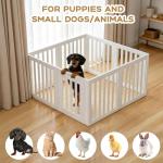 LoveTail Clear Dog Playpen with Door, 8 Panels