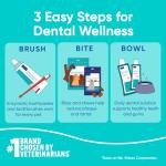 Virbac C.E.T. AQUADENT® Dental Solution for Pets