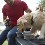 Collapsible Double Dog Bowl for Travel