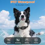 Remote Dog Training Collar for Two Dogs, 3300ft