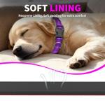 Reflective Heavy Duty Dog Collar - Adjustable, Padded