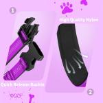 Reflective Heavy Duty Dog Collar - Adjustable, Padded