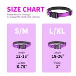 Reflective Heavy Duty Dog Collar - Adjustable, Padded