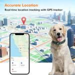 GPS Dog Tracker Collar with Real-Time Location