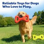 AKC Sport Double Tug Dog Chew Toy