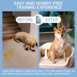 Potty Training Spray for Dogs – Indoor & Outdoor