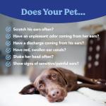 Angels’ Eyes Ear Relief Treatment for Dogs and Cats