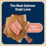 Blue Buffalo Salmon Recipe Soft Dog Treats