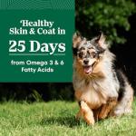 Nutro Natural Choice Senior Lamb & Rice Dog Food