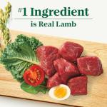 Nutro Natural Choice Senior Lamb & Rice Dog Food