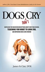 Understanding Dog Arthritis: Key Facts and Insights