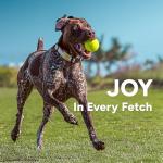 GoSports 24 Inch Dog Ball Launcher with Balls