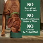 Nutro Natural Choice Senior Lamb & Rice Dog Food