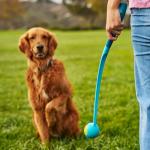 GoSports 24 Inch Dog Ball Launcher with Balls