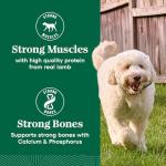 Nutro Natural Choice Senior Lamb & Rice Dog Food