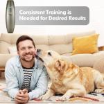 2-in-1 Ultrasonic Dog Bark Control Device