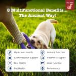 Zesty Paws Chewable Multivitamins for Dogs 90ct