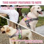 Auroth No-Choke Dog Harness and Leash Set
