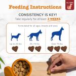 Zesty Paws Chewable Multivitamins for Dogs 90ct