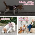 Auroth No-Choke Dog Harness and Leash Set