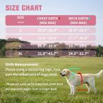 Auroth No-Choke Dog Harness and Leash Set