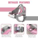 Auroth No-Choke Dog Harness and Leash Set