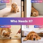 Potty Training Spray for Puppies – 2 Pack