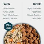 JustFoodForDogs Turkey Wet Dog Food - 7 Pack