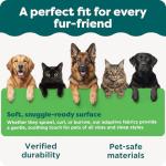 Large Orthopedic Dog Bed with Removable Cover