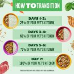 Turkey Recipe Wet Dog Food in Cans - Pack of 6