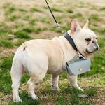 Leather Poop Bag Holder Dispenser for Leashes