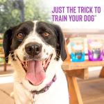 Cloud Star Tricky Trainers Chicken Liver Dog Treats