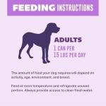 Turkey Recipe Wet Dog Food in Cans - Pack of 6