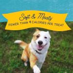 Natural Balance Grain-Free Turkey Dog Training Treats