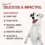 Stella & Chewy's Freeze-Dried Raw Beef Heart Treats
