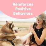 Pupford Rabbit Freeze-Dried Training Treats for Dogs