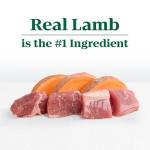 Nutro Limited Ingredient Lamb & Sweet Potato Dog Food