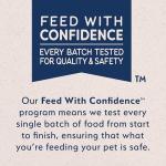 Natural Balance Grain-Free Salmon & Sweet Potato Dog Food