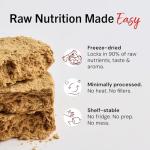 Stella & Chewy's Dandy Lamb Freeze-Dried Dog Food