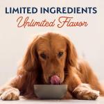 Natural Balance Grain-Free Salmon & Sweet Potato Dog Food